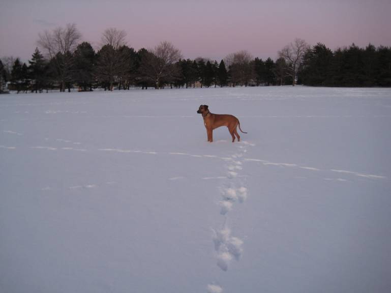 Standing in Snow